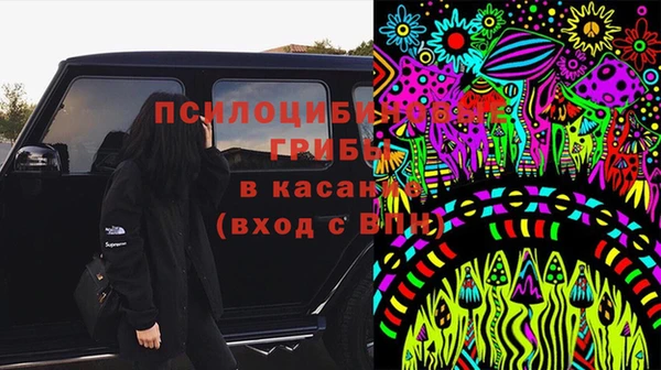 Альфа ПВП Горняк