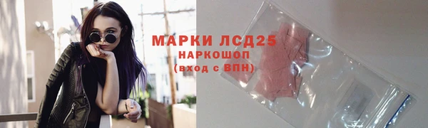 Альфа ПВП Горняк