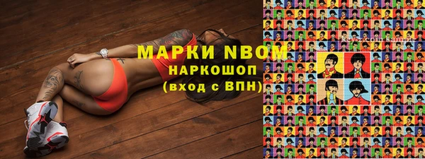 Альфа ПВП Горняк