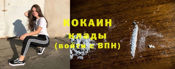 Альфа ПВП Горняк