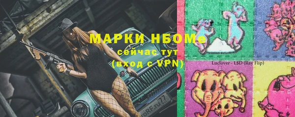 Альфа ПВП Горняк