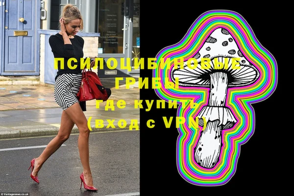 Альфа ПВП Горняк