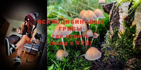 дмт Горнозаводск