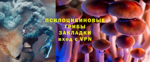 дмт Горнозаводск
