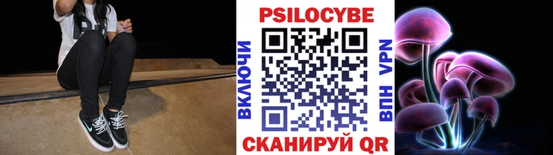 Купить  Ковылкино  Галлюциногенные грибы GOLDEN TEACHER 